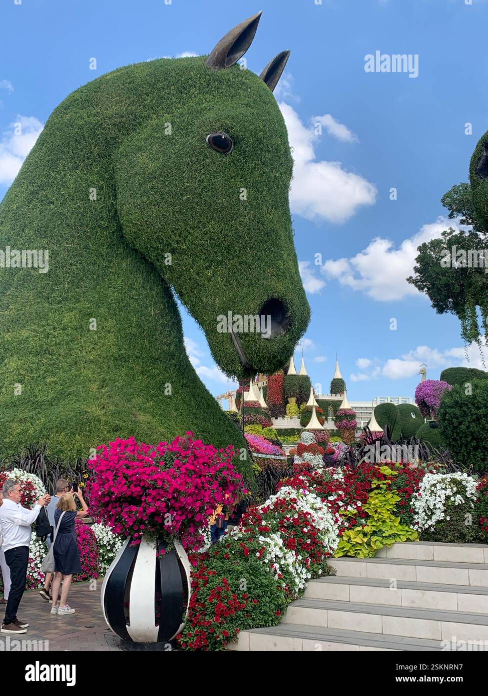 Sculture a testa di cavallo al Miracle Garden di Dubai Foto Stock