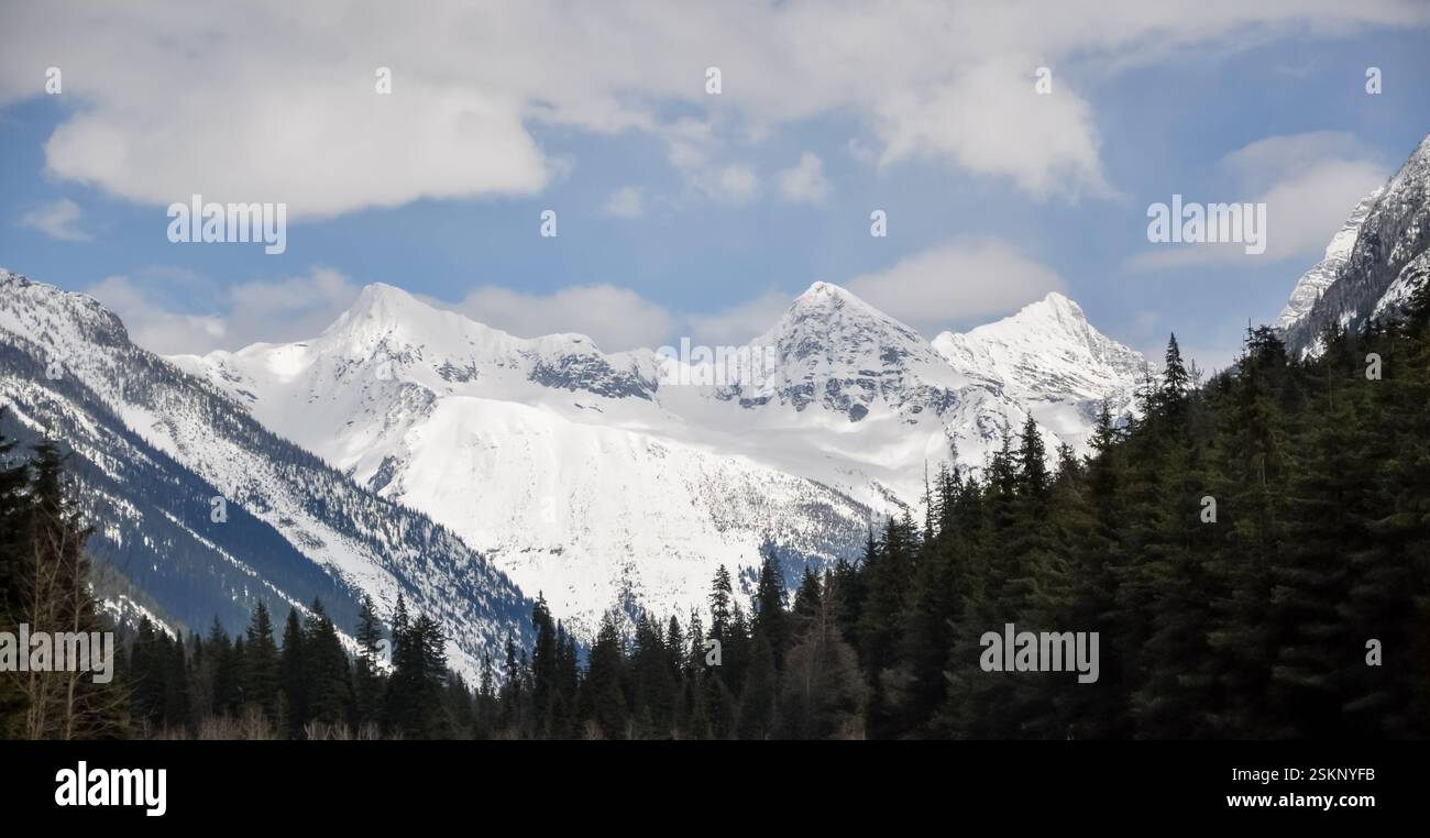 Montagna coperta di neve e lussureggiante paesaggio forestale, British Columbia, Canada Foto Stock