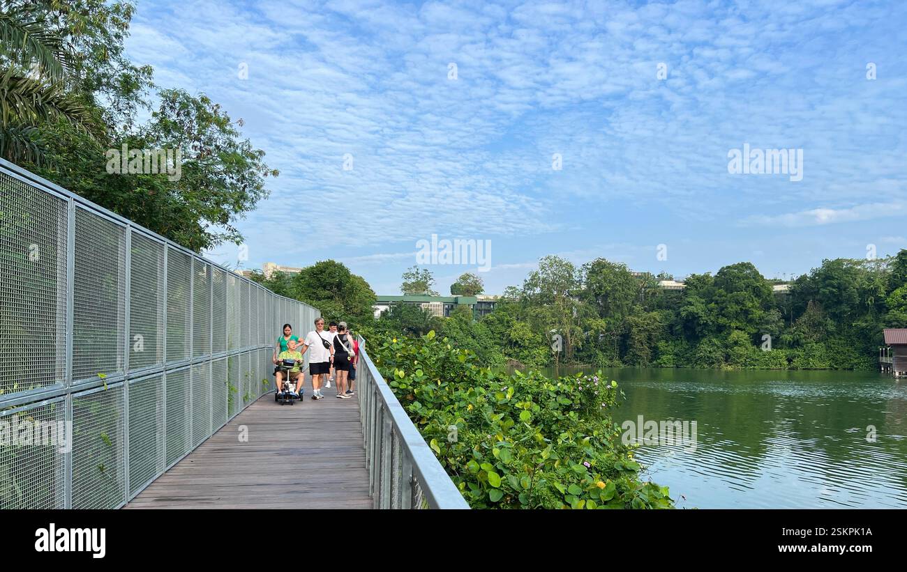Nuovo lungomare di Mandai presso la riserva naturale di Mandai. Foto Stock
