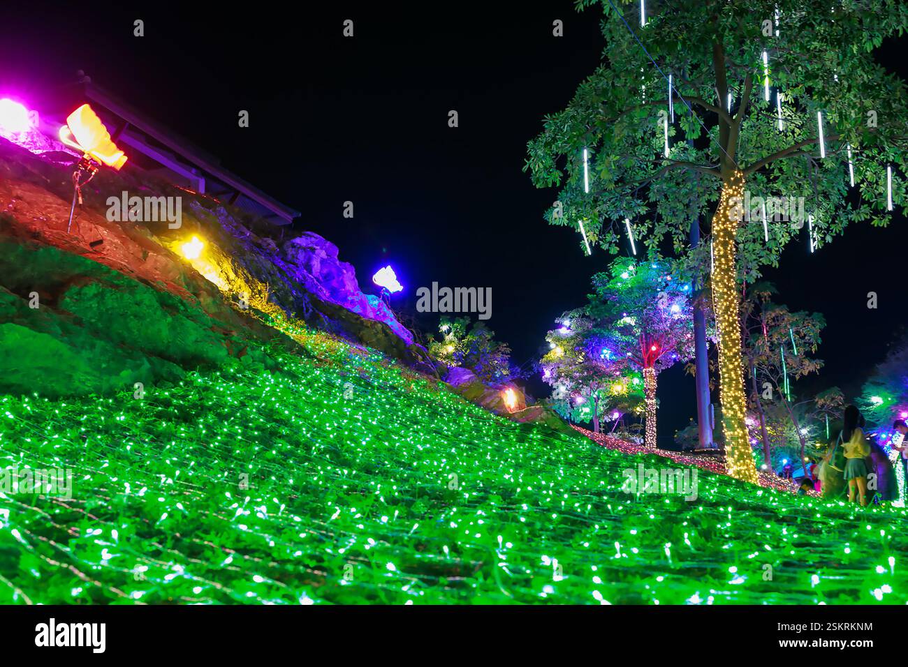 Illuminazione farfalla al neon luce lampeggiante e luci lampeggianti decorano l'albero Foto Stock