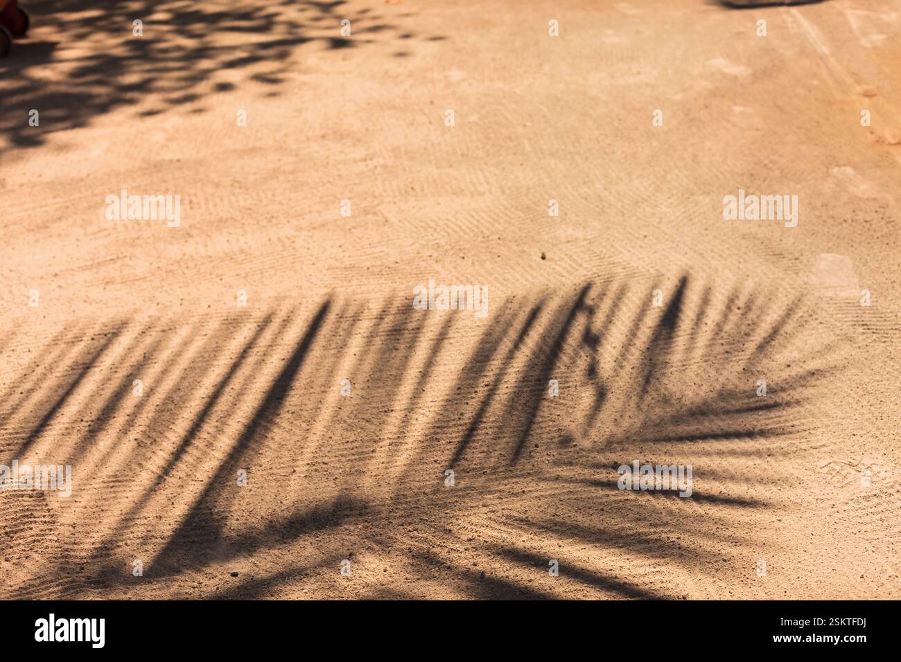 L'ombra di una palma si estende attraverso la sabbia calda, creando un suggestivo motivo tropicale. La luce soffusa e il terreno ruvido sottolineano il gioco Foto Stock
