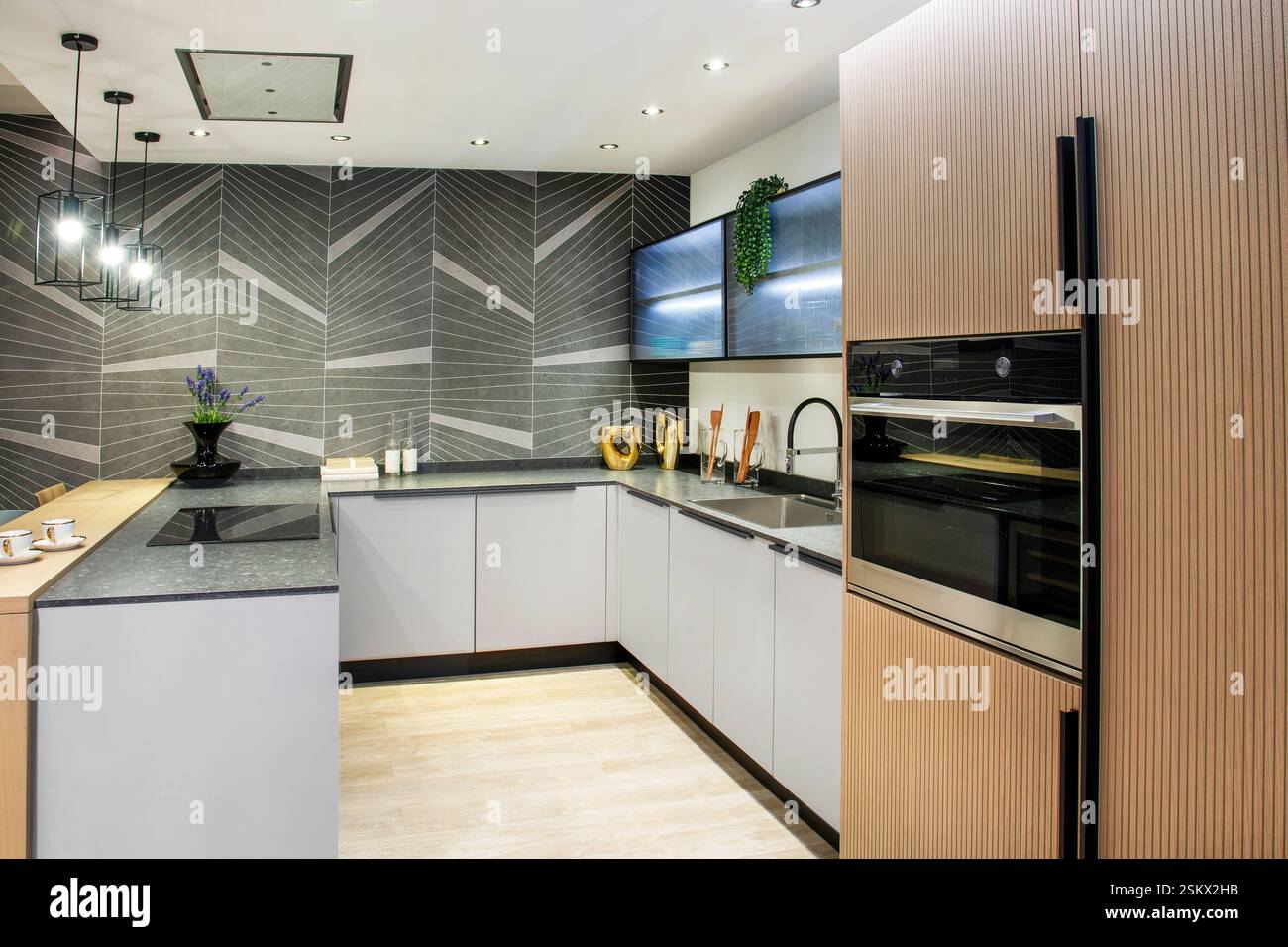 Gli interni moderni ed eleganti della cucina presentano un'isola, eleganti armadi ed elettrodomestici integrati, creando uno spazio culinario sofisticato Foto Stock