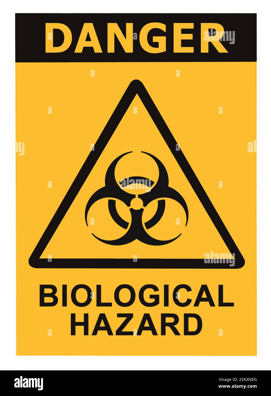 Segnale di pericolo di pericolo biologico giallo per la salute, grande dettaglio isolato isolato isolato, simbolo icona triangolo di rischio biologico etichetta macro primo piano Foto Stock