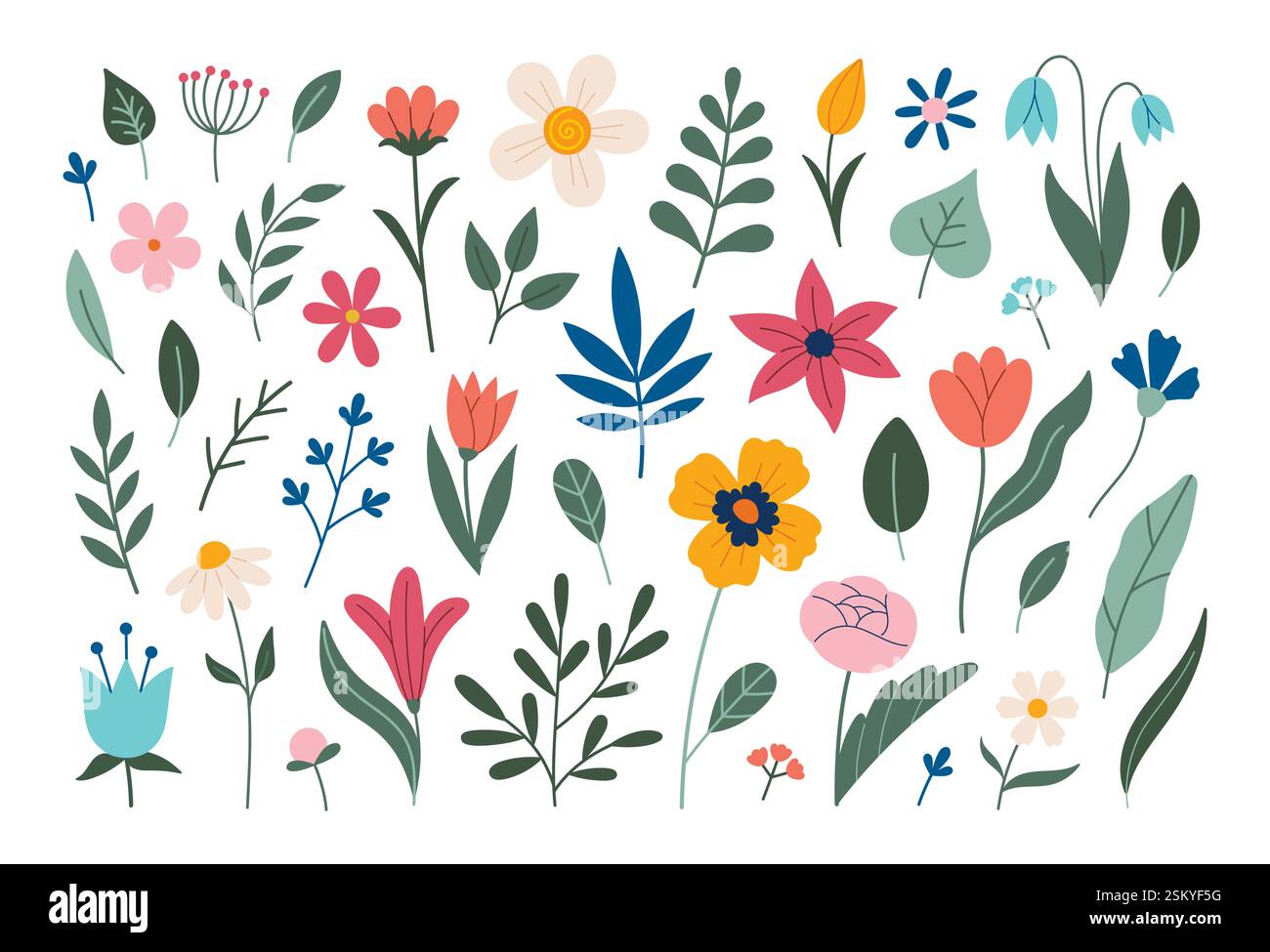 Collezione di fiori. Fiori diversi isolati sul bianco. Illustrazione vettoriale. Fiori ed erbe estive e primaverili. Papavero, tulipani, peonia, narciso, stile doodle, design piatto. Illustrazione Vettoriale