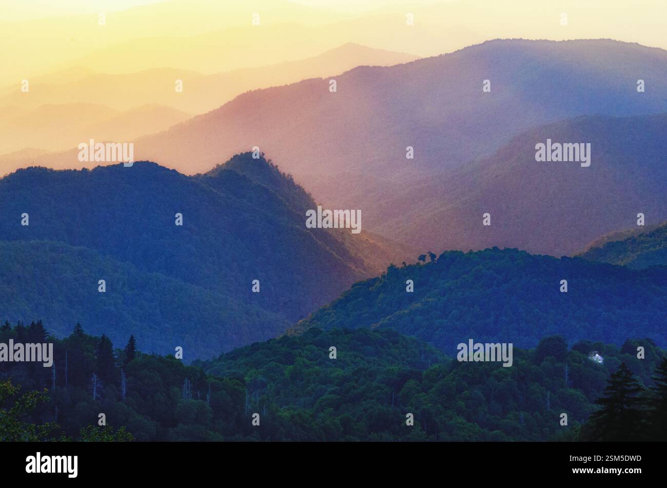 Strati di creste nebbiose bagnate da luce dorata e blu all'alba nel Great Smoky Mountains National Park, Tennessee. Foto Stock
