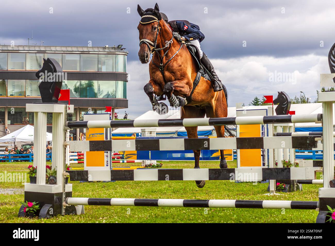 Un abile fantino danese salta a cavallo a Oslo, Norvegia, dimostrando un'impressionante atleticità e precisione. Foto Stock Un abile fantino danese salta a cavallo a Oslo, Norvegia, dimostrando un'impressionante atleticità e precisione. Foto Stock