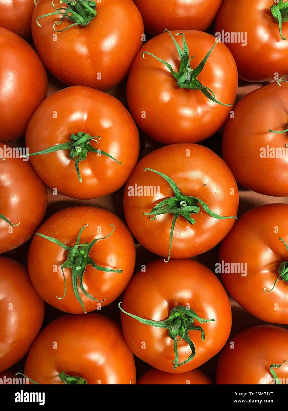 pomodori, pomodori, pomodori maturi, pomodori rossi, verdure, magazzino, stoccaggio, agricoltura, approvvigionamento alimentare, logistica, distribuzione, catena di approvvigionamento - Immagine stock catturata con smartphone