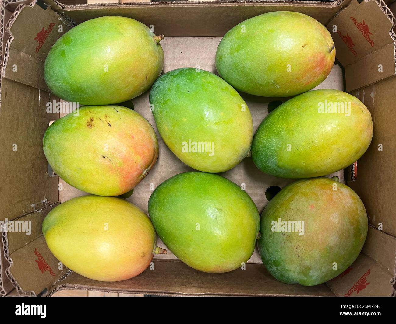 mango, mango, mango, frutta, magazzino, stoccaggio, cassa, prodotti, agricoltura, approvvigionamento alimentare, logistica, distribuzione, catena di approvvigionamento - Immagine stock catturata con smartphone