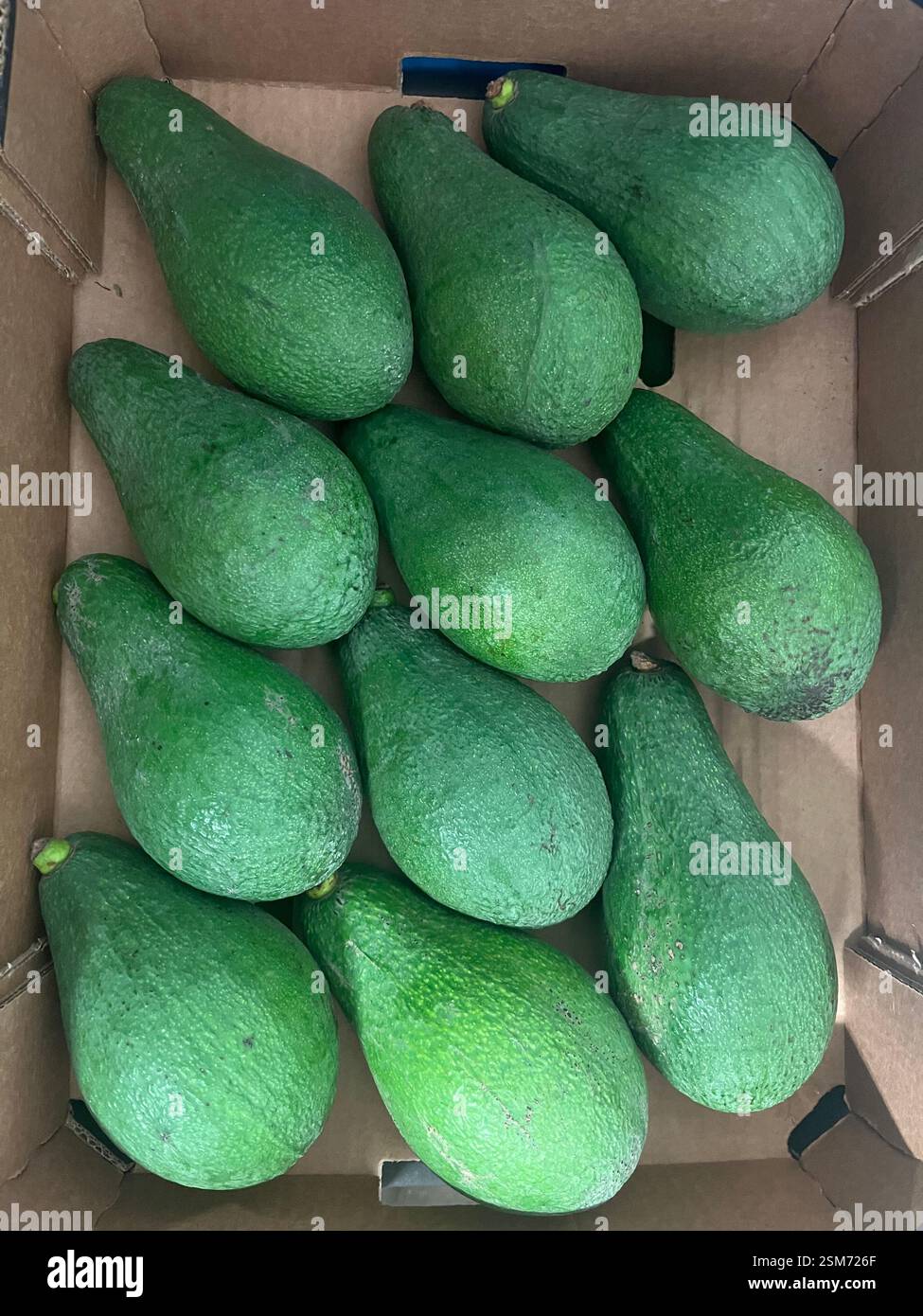 avocado, avocado, cassa di avocado, frutta, magazzino, stoccaggio, cassa, prodotti, agricoltura, approvvigionamento alimentare, logistica, distribuzione, catena di approvvigionamento - Immagine stock catturata con smartphone
