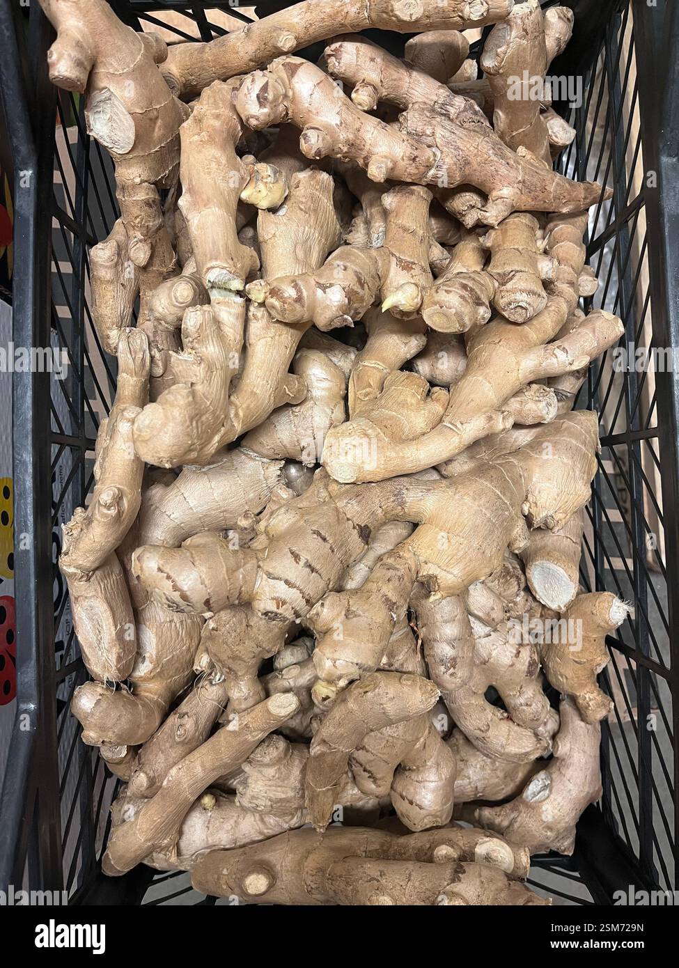 zenzero, radici di zenzero, verdure, magazzino, stoccaggio, cassa, agricoltura, approvvigionamento alimentare, logistica, stoccaggio di verdure, distribuzione, catena di approvvigionamento - Immagine stock catturata con smartphone