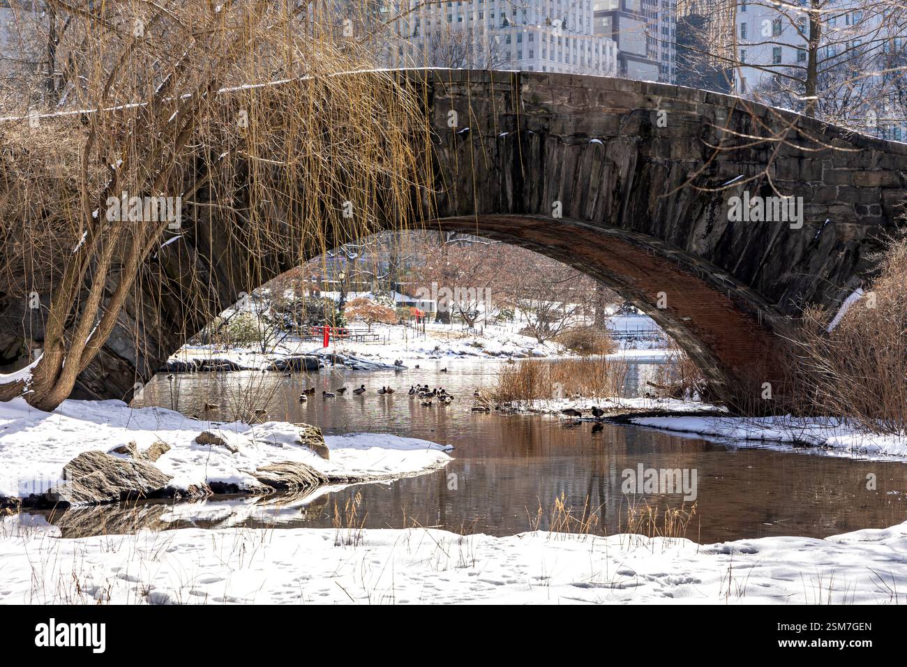 Ponte Gapstow a Central Park con terreno innevato e anatre che si godono una giornata tranquilla nello stagno. Foto Stock