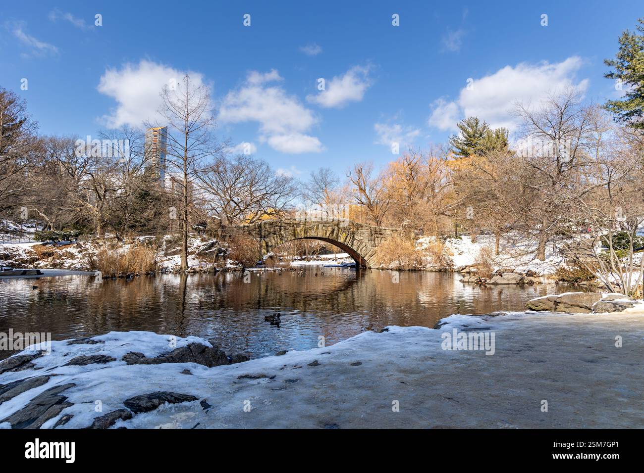 Central Park presenta un pittoresco stagno e il Gapstow Bridge, un ponte di pietra, circondato da un terreno innevato nel febbraio 2025. Foto Stock
