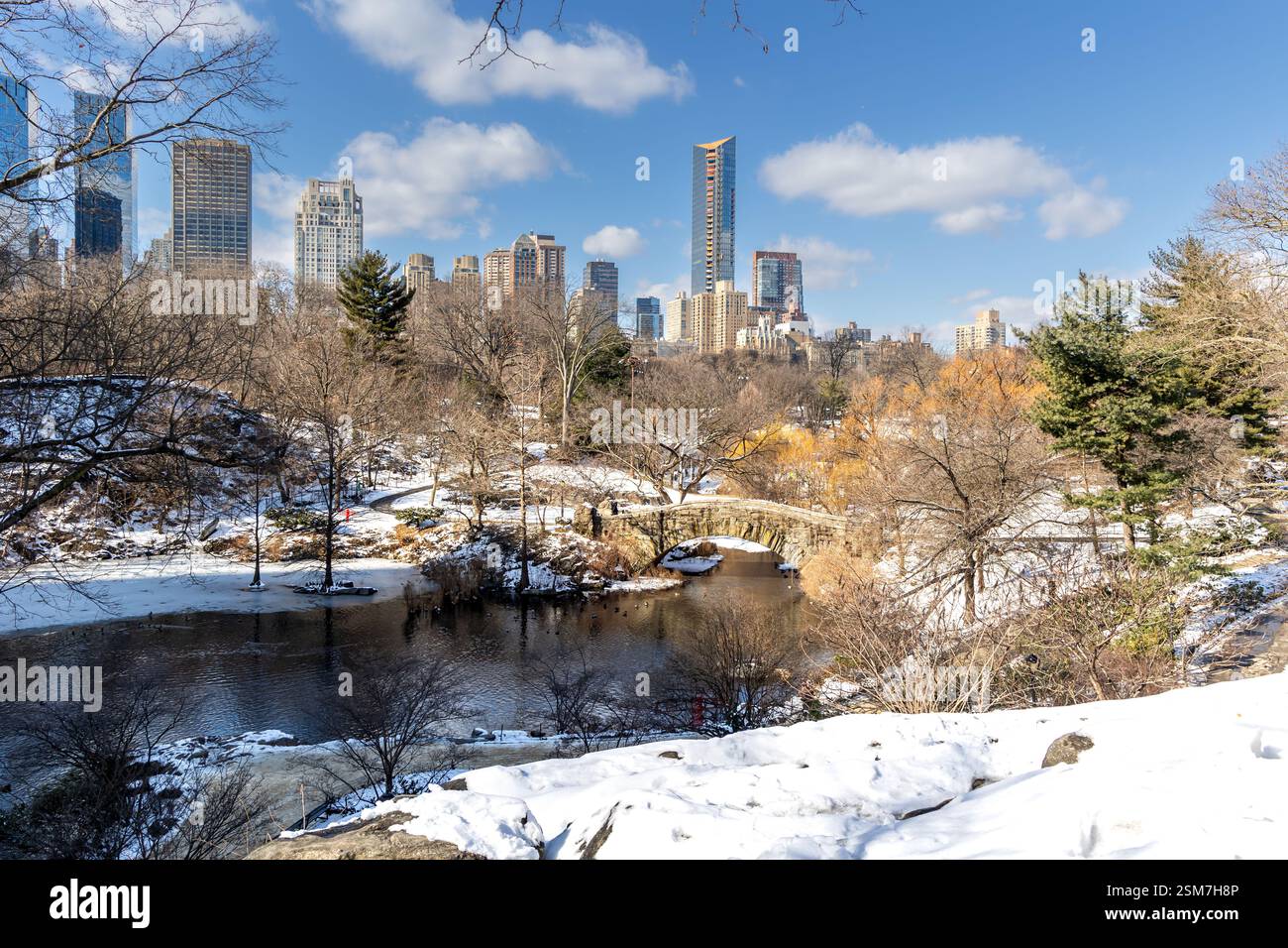 La bellezza serena di Central Park in inverno, con il laghetto, il ponte Gapstow da un punto di vista con gli splendidi grattacieli di Manhattan sullo sfondo Foto Stock