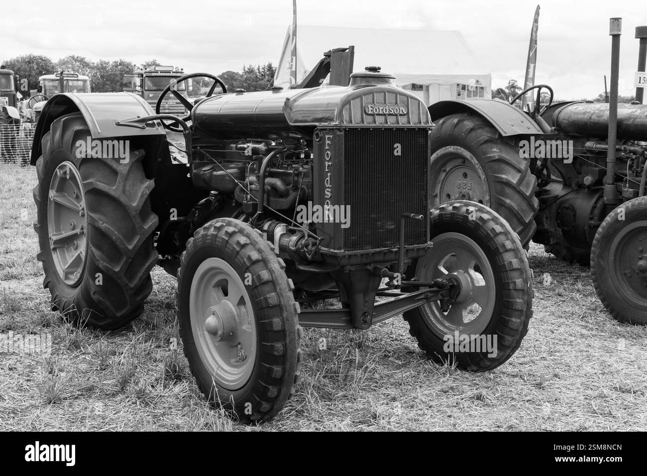 Haselbury Plucknet.Somerset.Regno Unito. 17 agosto 2024.Un Fordson standard restaurato è in mostra ad un evento agricolo di Yesterdays Foto Stock