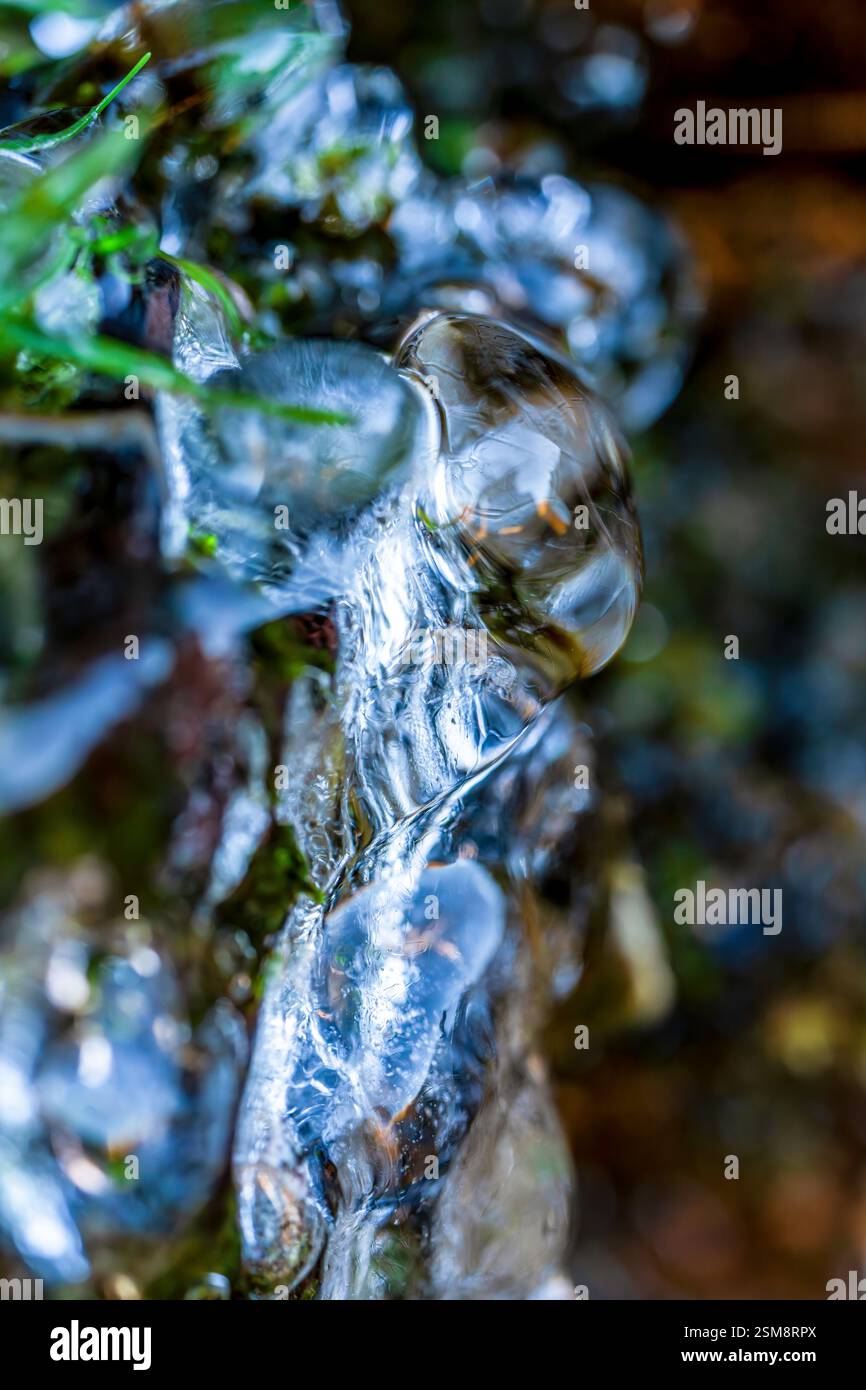 Primo piano astratto della formazione del ghiaccio Encasing Grass con sfondo bokeh in una vibrante composizione Winter Macro Foto Stock
