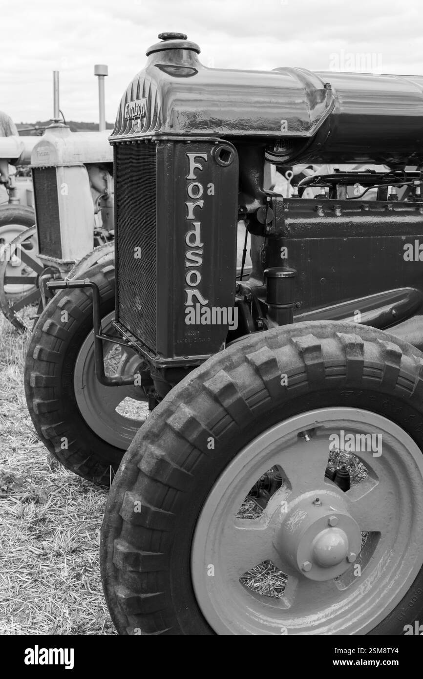 Haselbury Plucknet.Somerset.Regno Unito. 17 agosto 2024.Un Fordson standard restaurato è in mostra ad un evento agricolo di Yesterdays Foto Stock