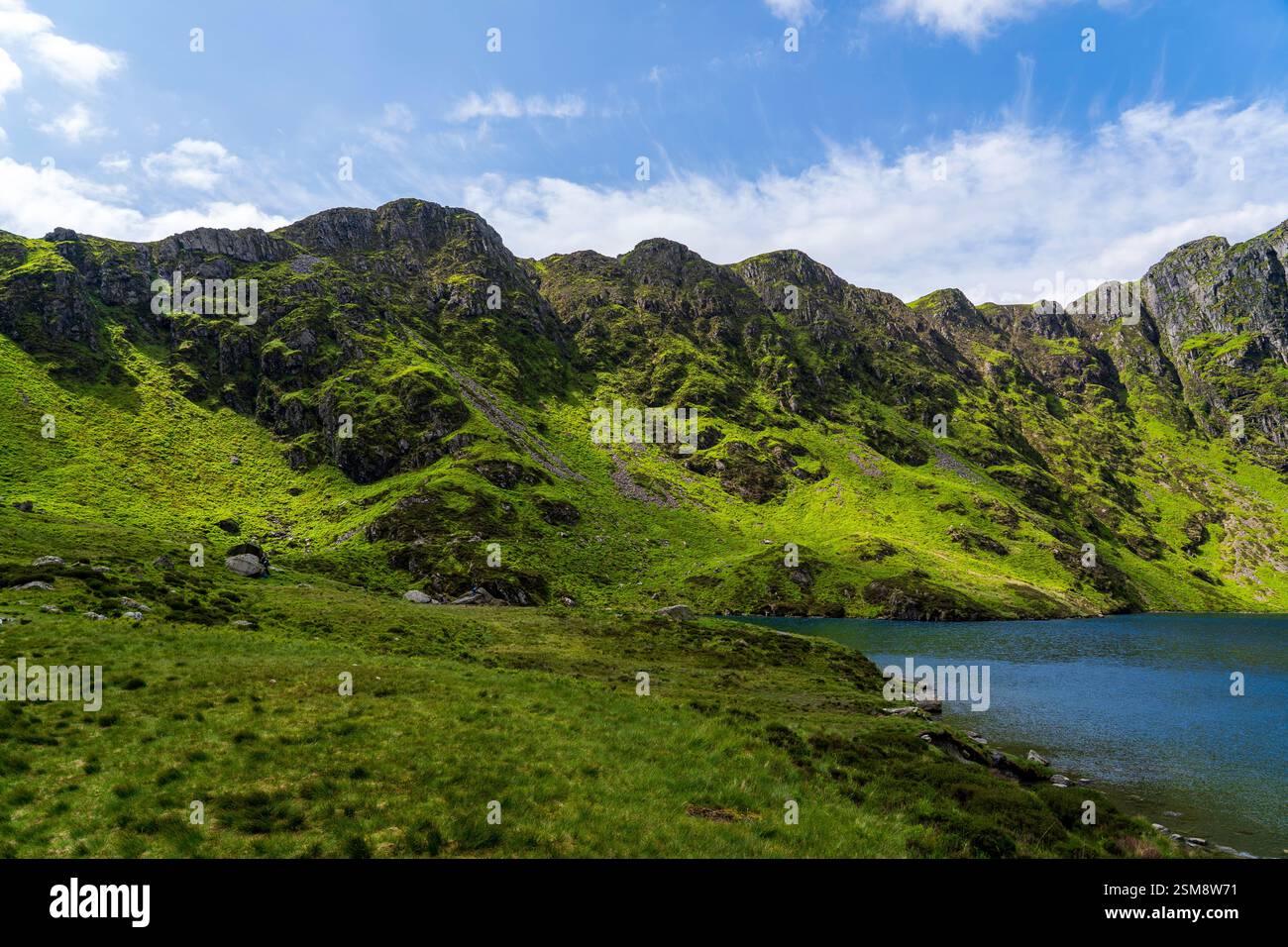 Anfiteatro verde di Llyn Cau nell'abbraccio scosceso di Snowdonia Foto Stock