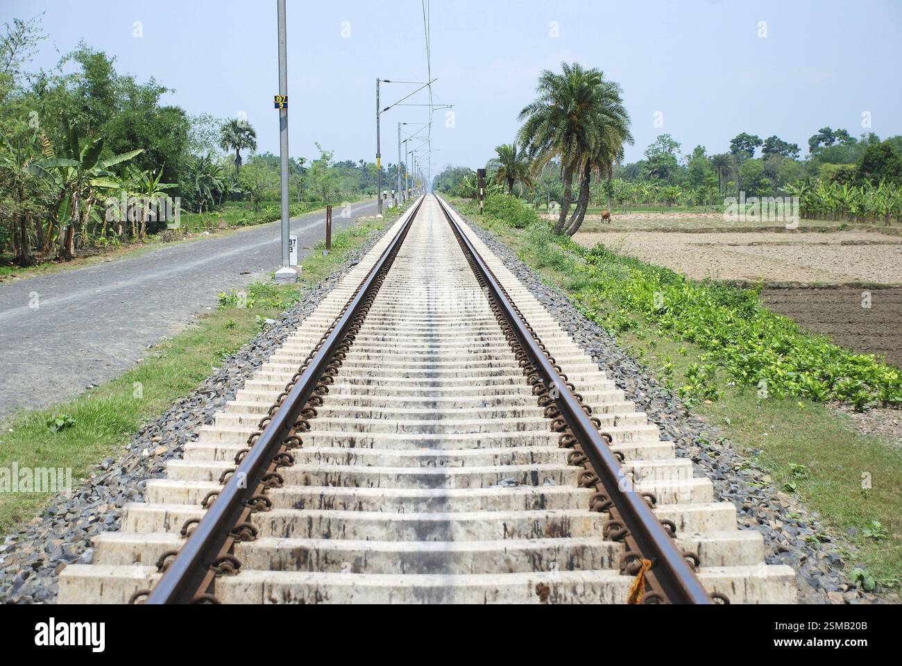 Calcestruzzo via ferroviaria Foto Stock