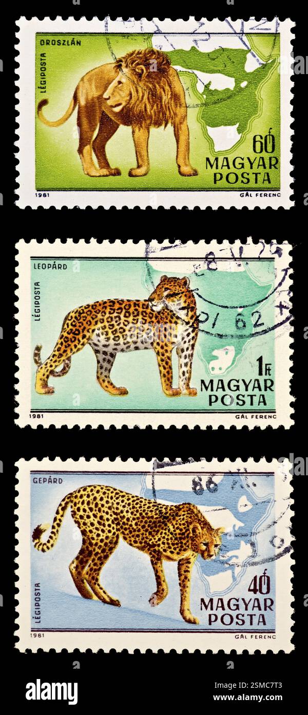 I tre francobolli del set con il leone, il leopardo e il ghepardo isolati su sfondo nero Foto Stock