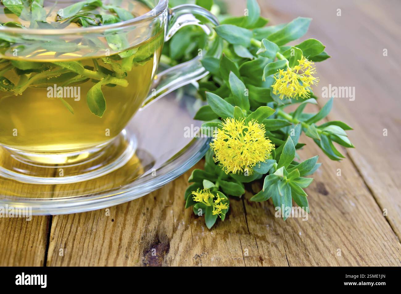Fiori Rhodiola rosea, un tè alle erbe in una tazza di vetro su uno sfondo di tavole di legno Foto Stock