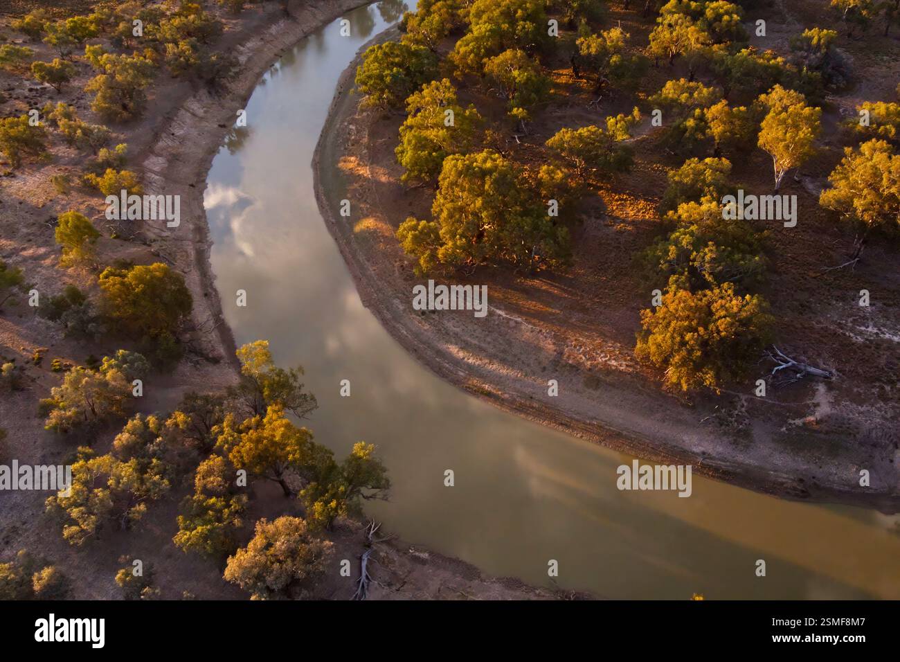 Vista aerea del fiume Darling nell'Outback del New South Wales, che mostra una curva attraverso terre aride con alberi sparsi. Foto Stock