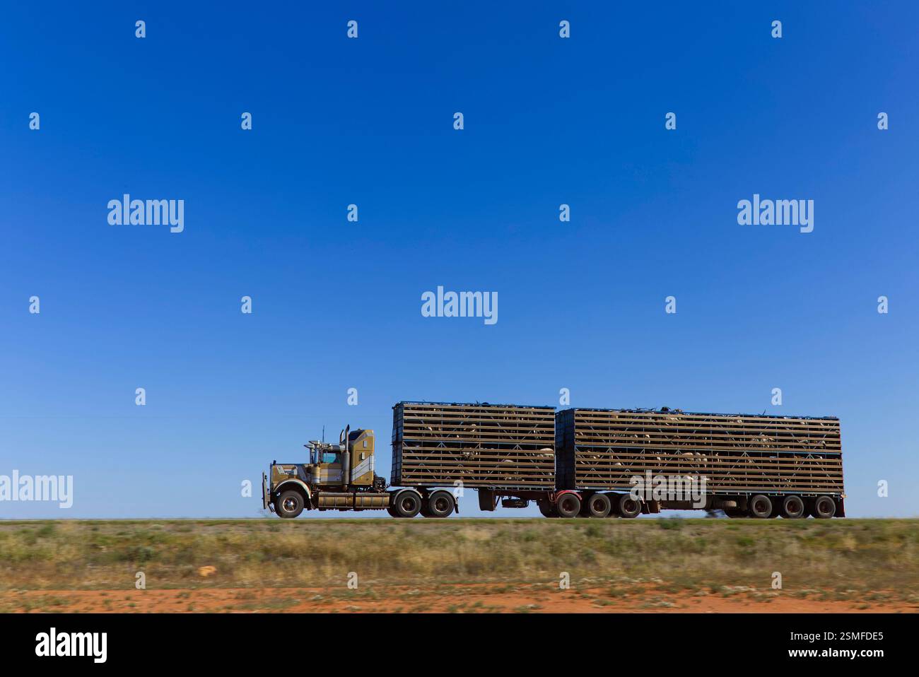 Becco lungo B doppio semirimorchio che trasporta capre dirette ai mercati del bestiame di est lungo la Barrier Highway New South Wales Australia Foto Stock