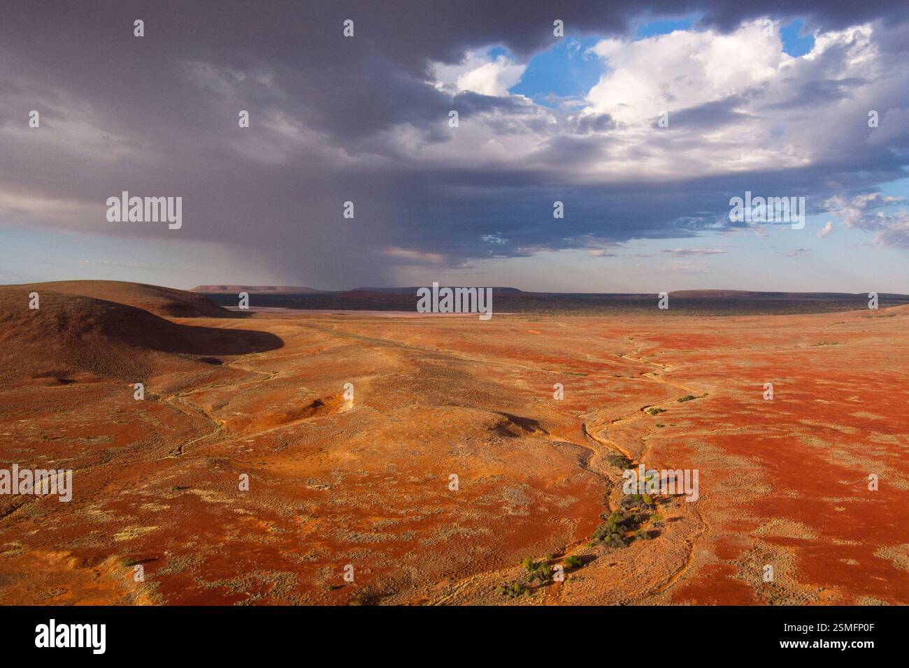 Le nuvole di tempesta si riuniscono sui secchi letti dei creek di Oakden Hills Ranglands e sul paesaggio arido dell'Australia meridionale Foto Stock