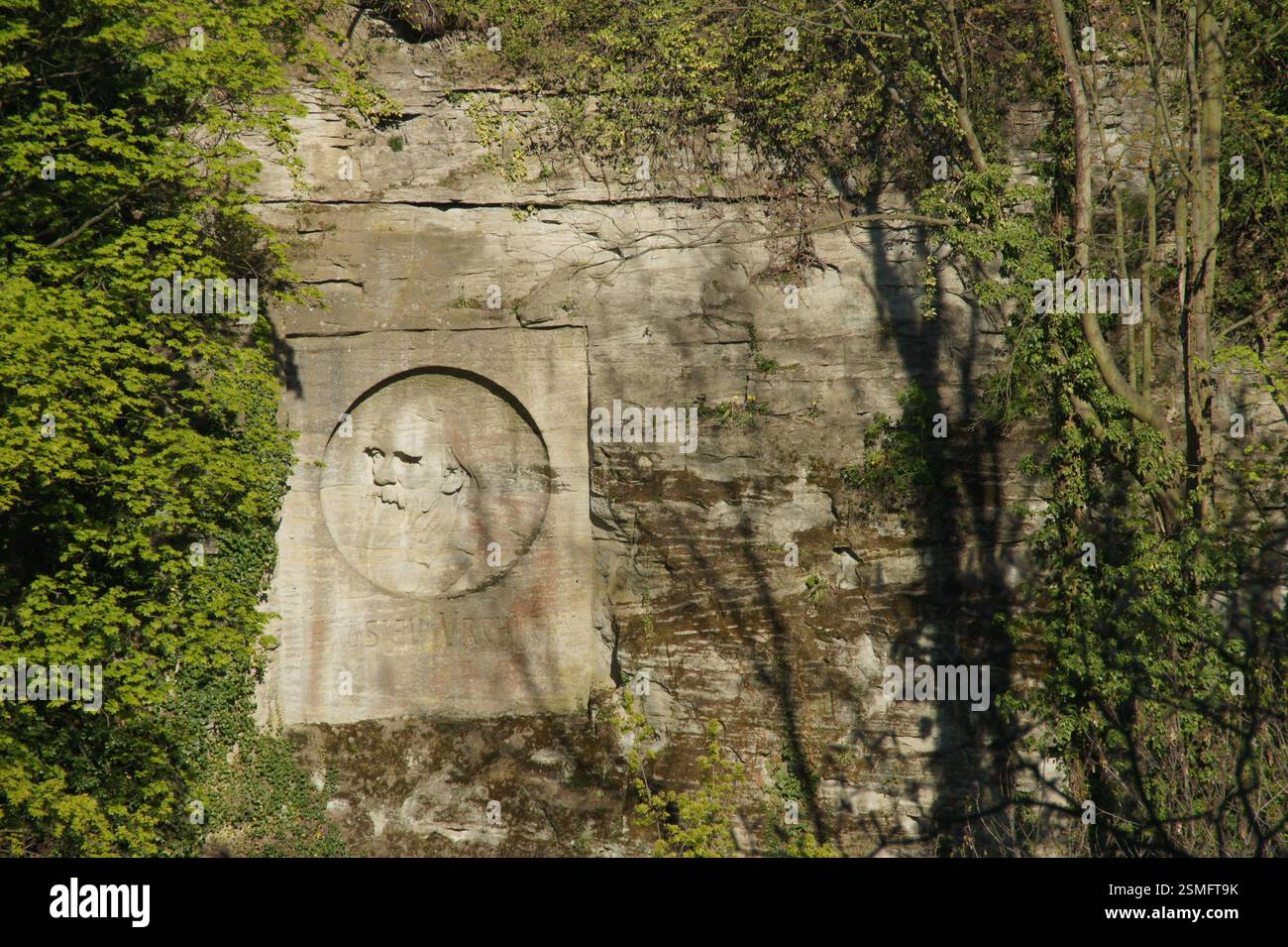 Ritratto in bassorilievo di Johann Gottfried Herder sulla scogliera di arenaria. Oscuro, coperto di muschio e intemprato. Commemora il filosofo e scrittore tedesco Foto Stock