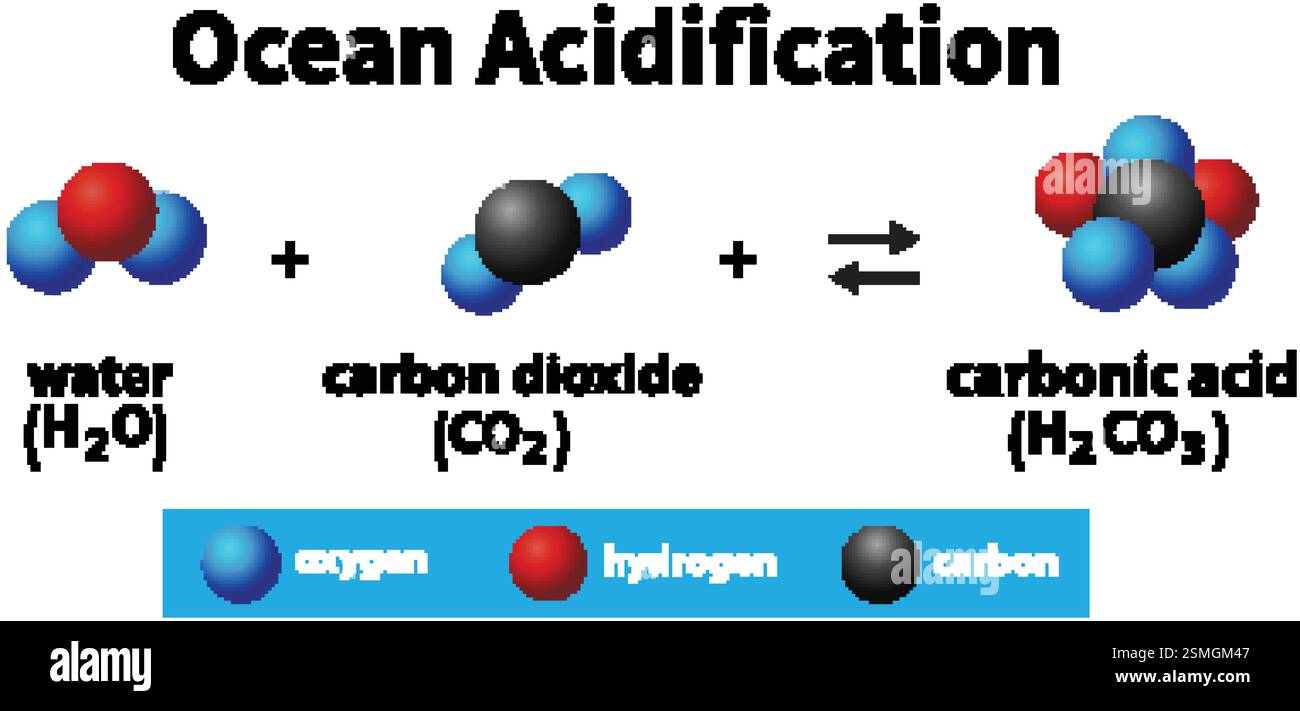 Immagine dell'acqua, dell'anidride carbonica e dell'acido carbonico Illustrazione Vettoriale