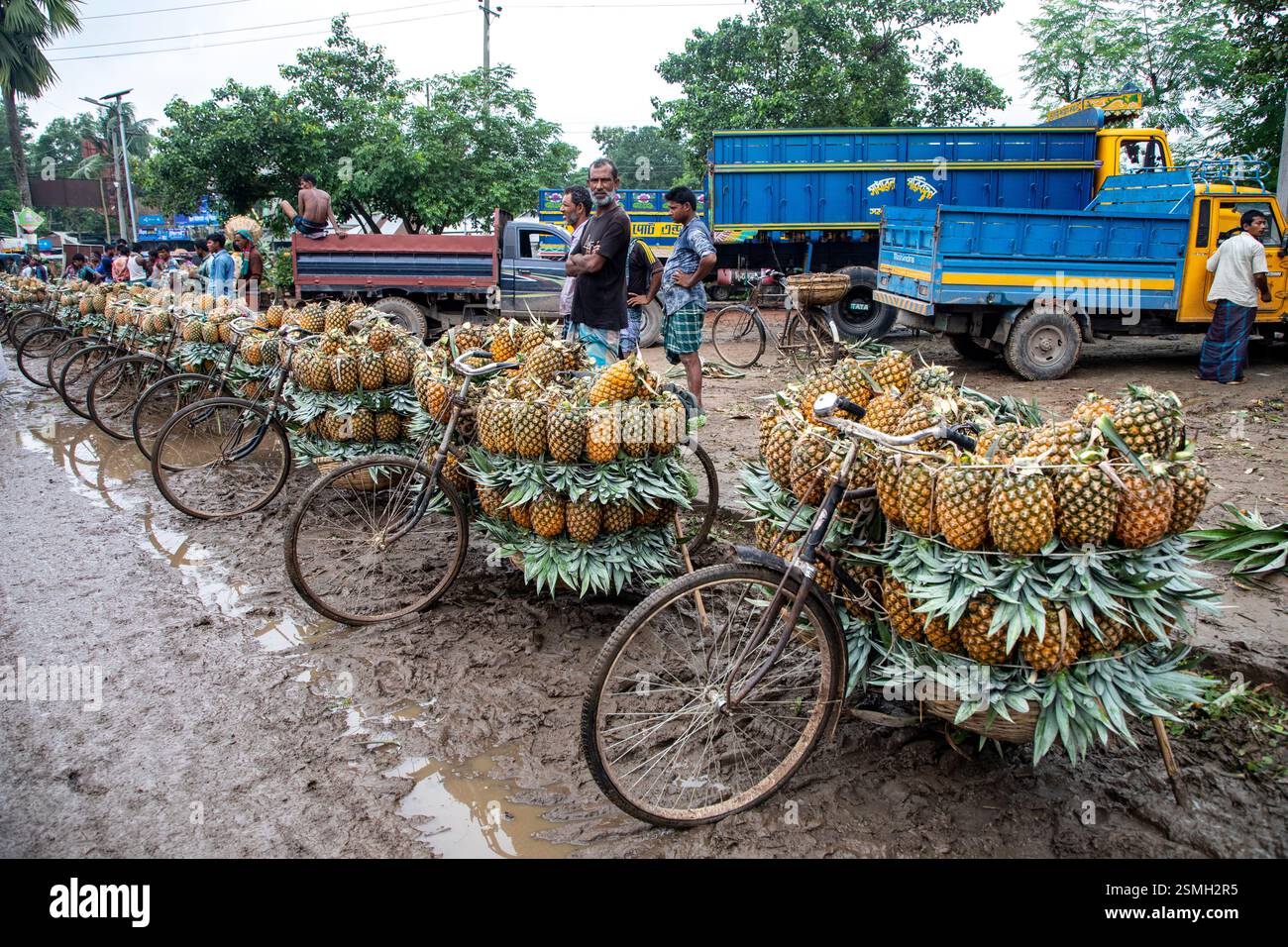 Vista del Madhupur Bazar a Tangail, Bangladesh, dove agricoltori e commercianti si impegnano attivamente nel vivace commercio di ananas. Foto Stock