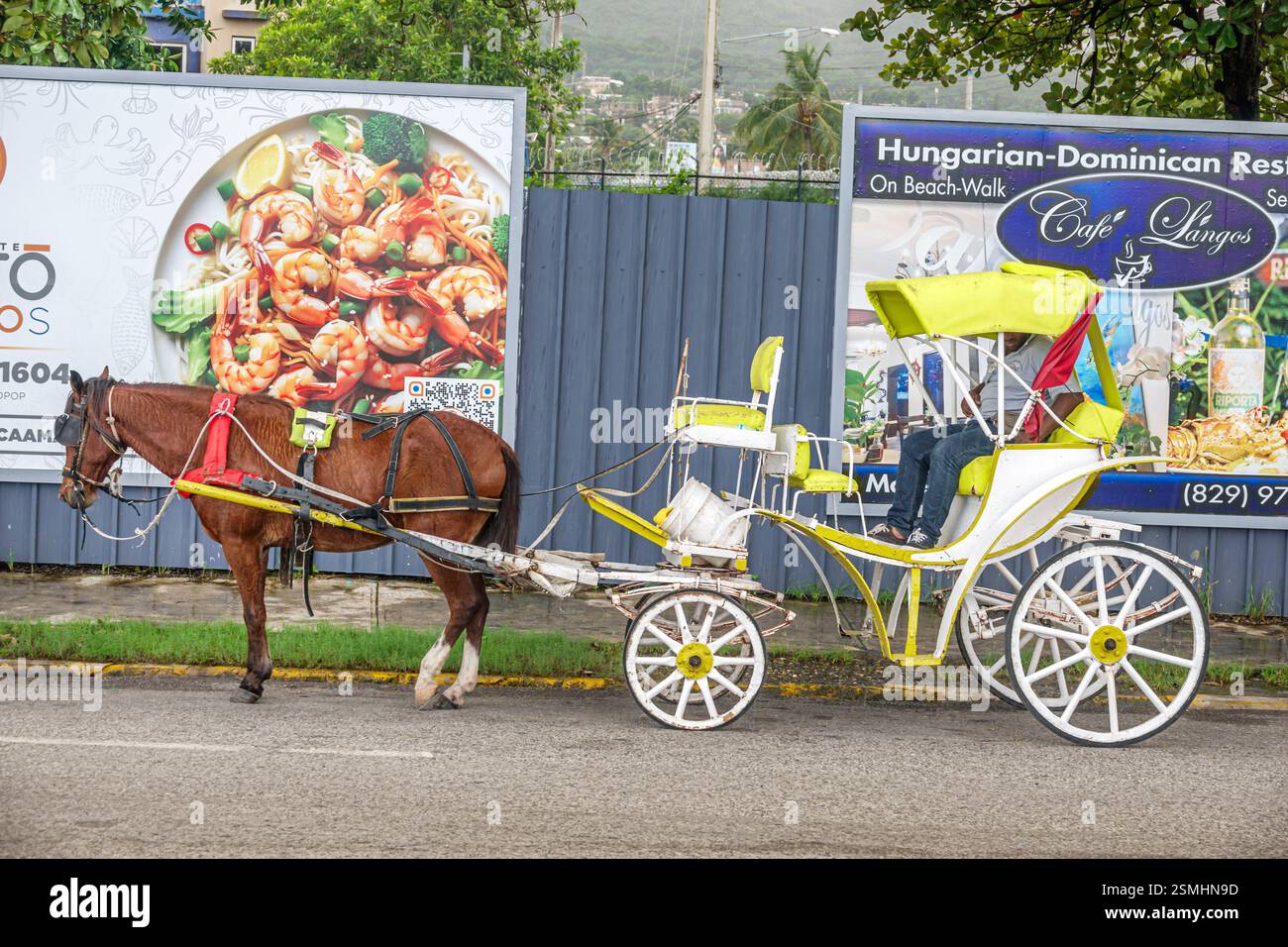San Felipe de Puerto Plata Repubblica Dominicana, vicino al porto di Taino Bay, carrozza trainata da cavalli, trasporto tradizionale, scena di strade bianche gialle, turismo locale, d Foto Stock