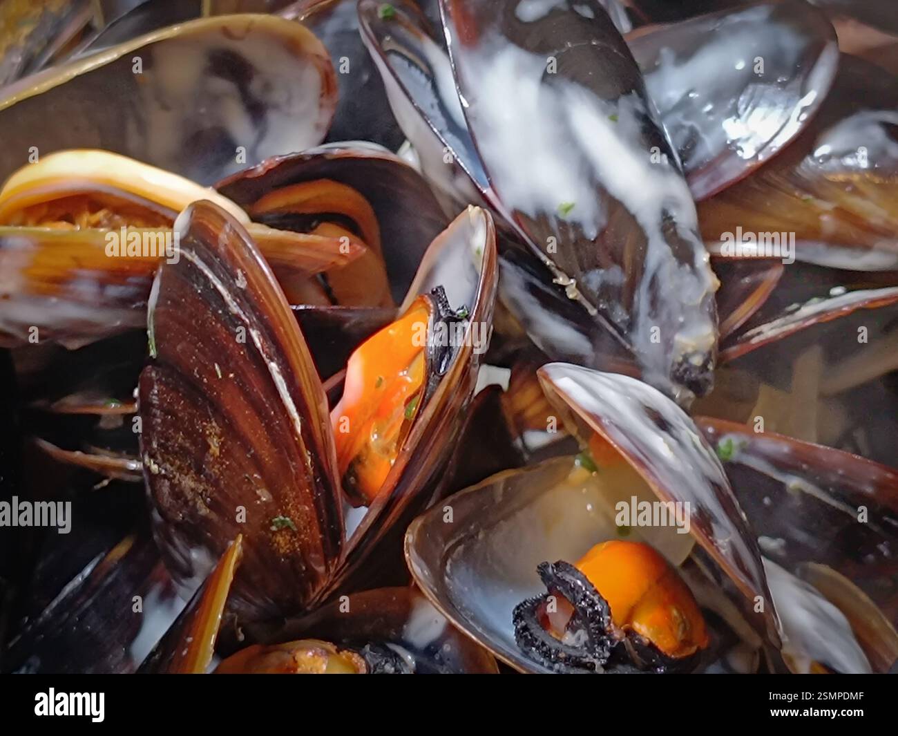 Cozze crude, vista dall'alto, primo piano durante la cottura Foto Stock