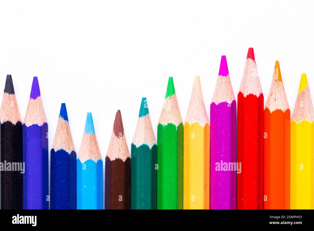 Colorato assortimento di matite disposte in un vivace display per progetti creativi Foto Stock