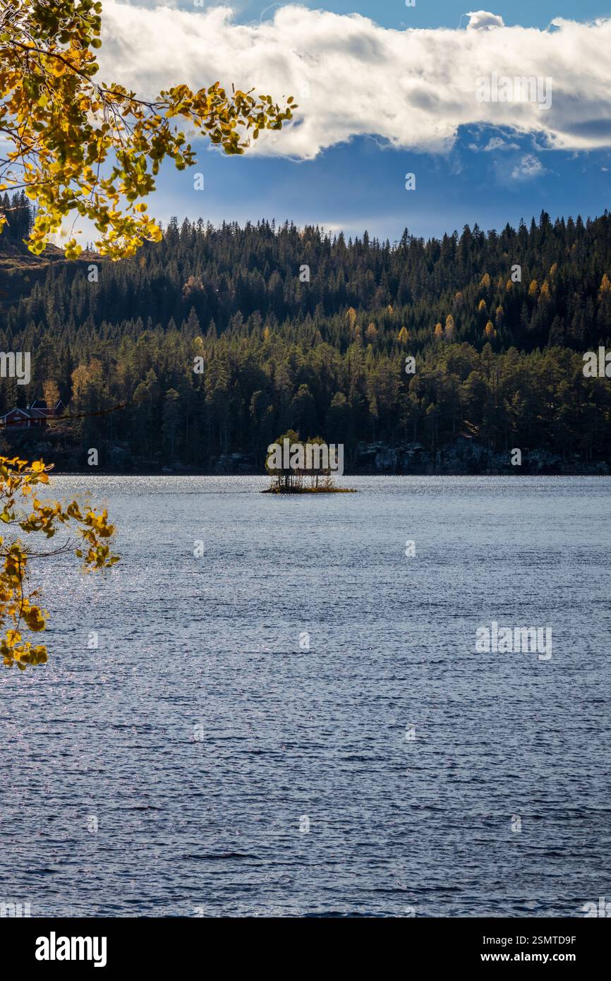 Tranquilla estate a Lunner Almenning: Laghi tranquilli, una diga di pietra con acqua corrente e una barca solitaria che si sposta nel tranquillo abbraccio della natura. Un retre pacifico Foto Stock