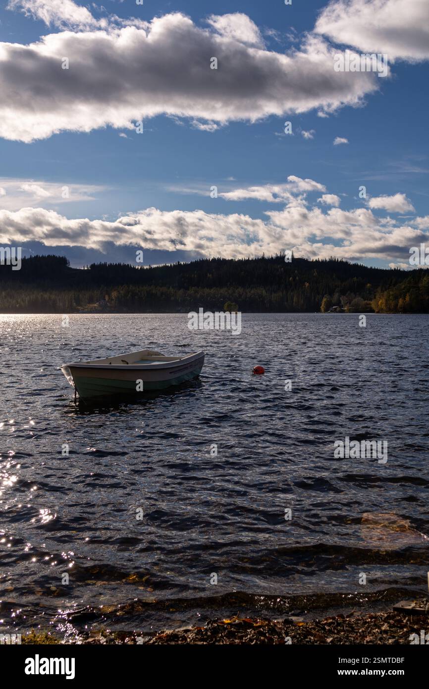 Tranquilla estate a Lunner Almenning: Laghi tranquilli, una diga di pietra con acqua corrente e una barca solitaria che si sposta nel tranquillo abbraccio della natura. Un retre pacifico Foto Stock