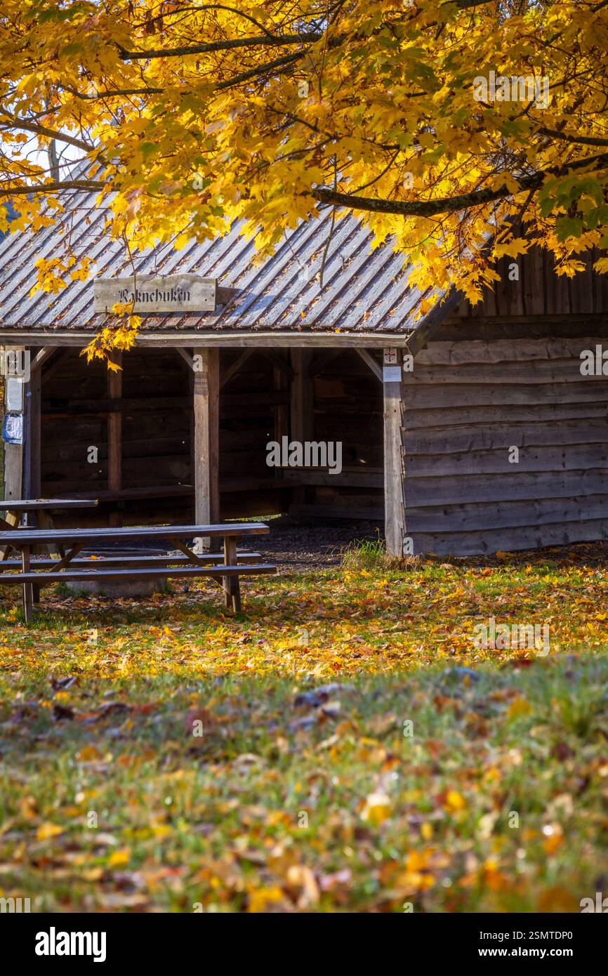 Tardo autunno a Raknehaugen: Fiori baciati dal gelo, gocce di rugiada sul filo, fattorie dalle sfumature dorate e il lago che riflette la fugace bellezza della stagione. Foto Stock