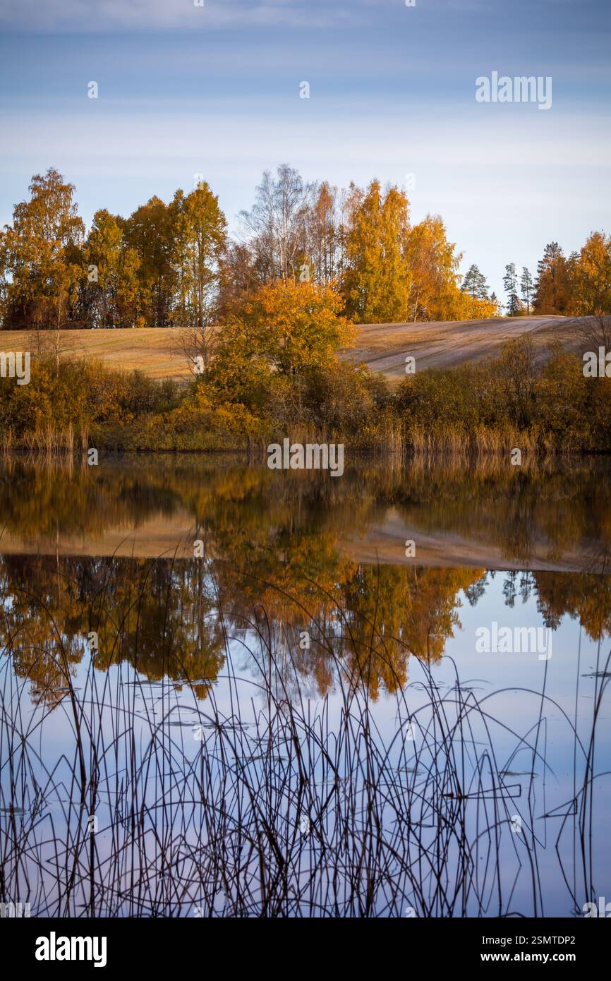 Tardo autunno a Raknehaugen: Fiori baciati dal gelo, gocce di rugiada sul filo, fattorie dalle sfumature dorate e il lago che riflette la fugace bellezza della stagione. Foto Stock