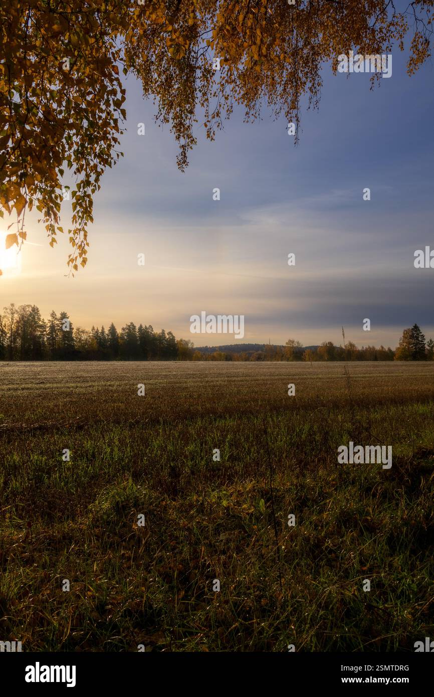 Tardo autunno a Raknehaugen: Fiori baciati dal gelo, gocce di rugiada sul filo, fattorie dalle sfumature dorate e il lago che riflette la fugace bellezza della stagione. Foto Stock