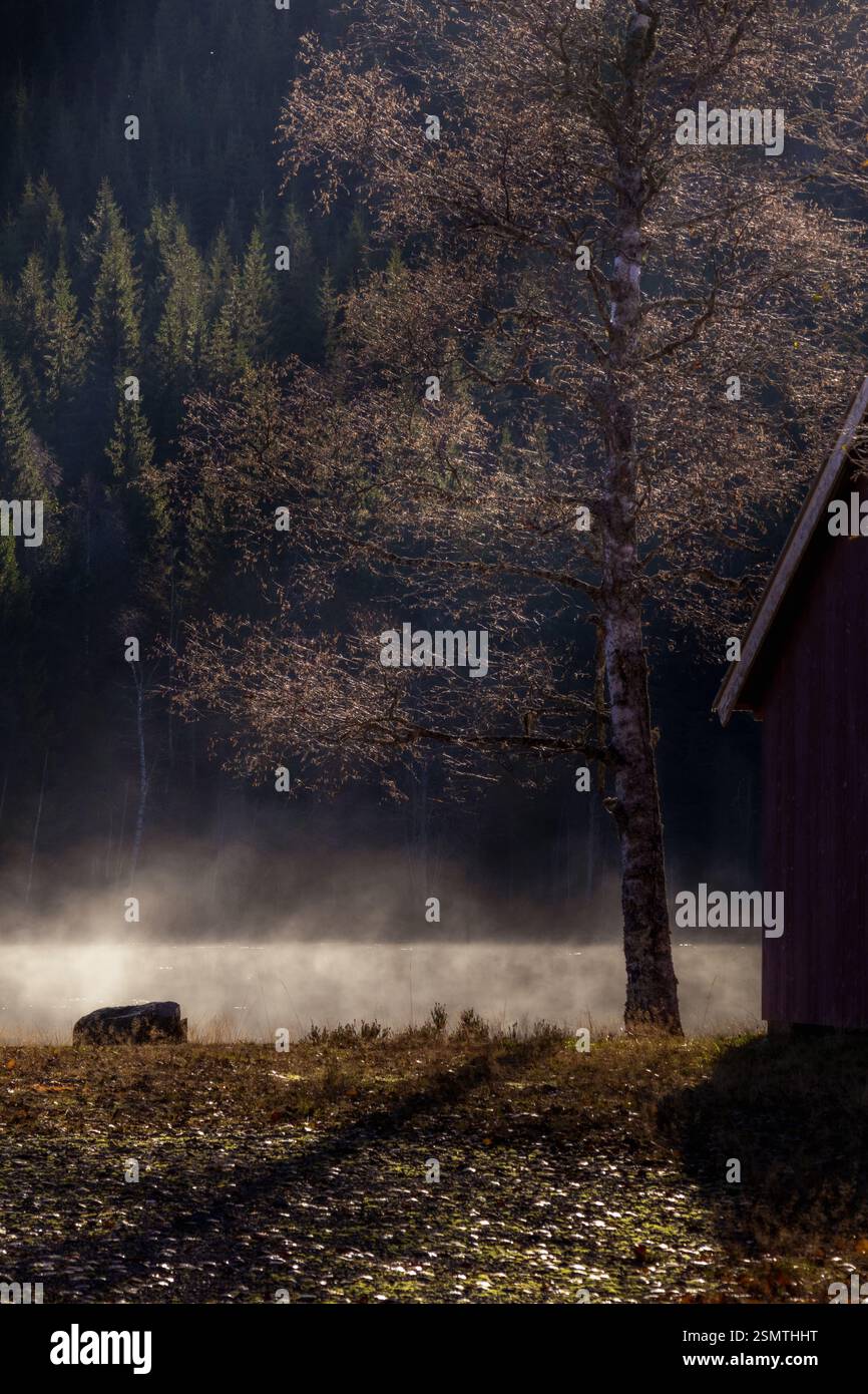 Laghi tranquilli di Hurdalsjøen e Skrukkelisjøen, betulle dorate e acque riflettenti. Un tranquillo rifugio autunnale dove la bellezza della natura invita alla riflessione Foto Stock