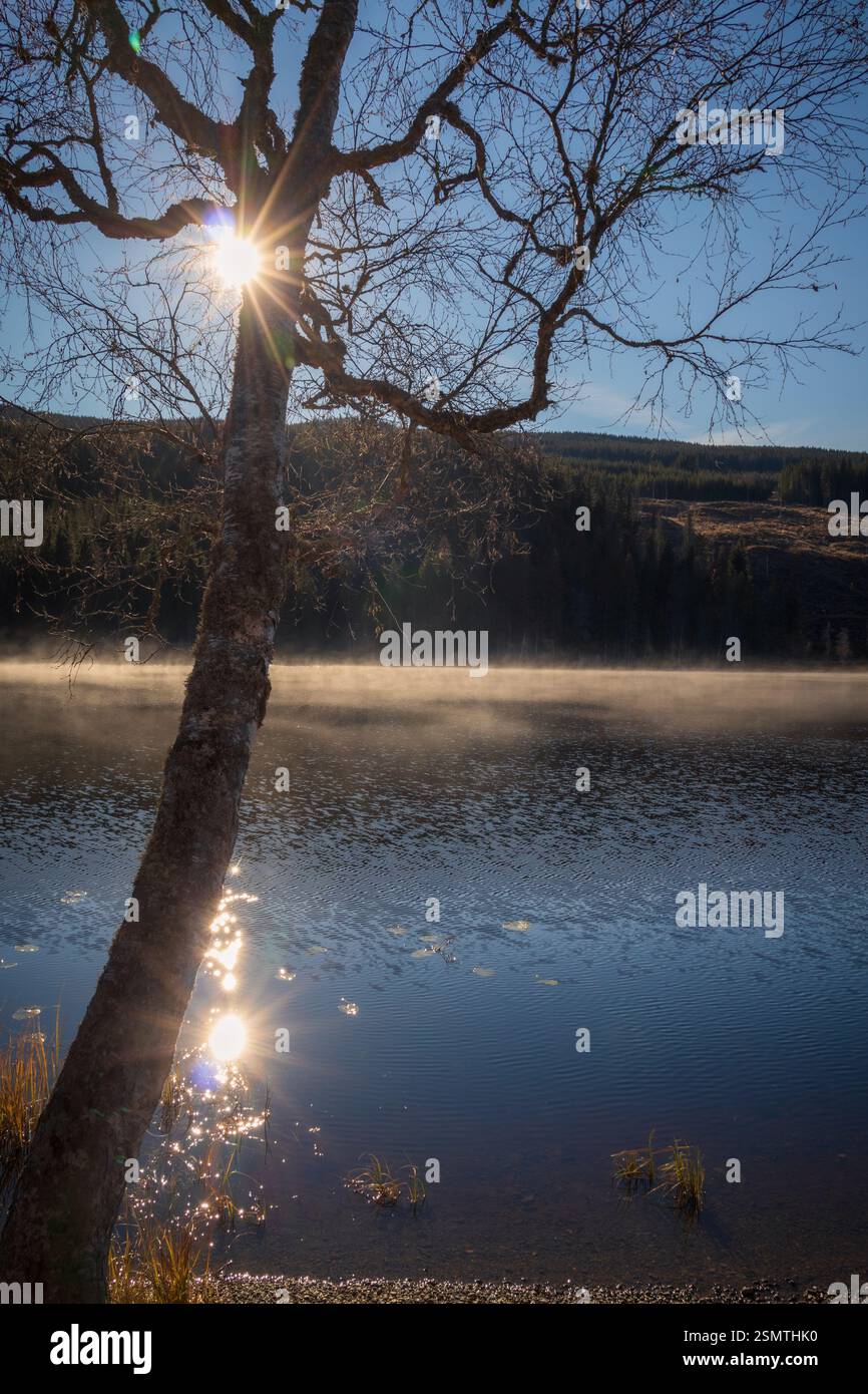 Laghi tranquilli di Hurdalsjøen e Skrukkelisjøen, betulle dorate e acque riflettenti. Un tranquillo rifugio autunnale dove la bellezza della natura invita alla riflessione Foto Stock