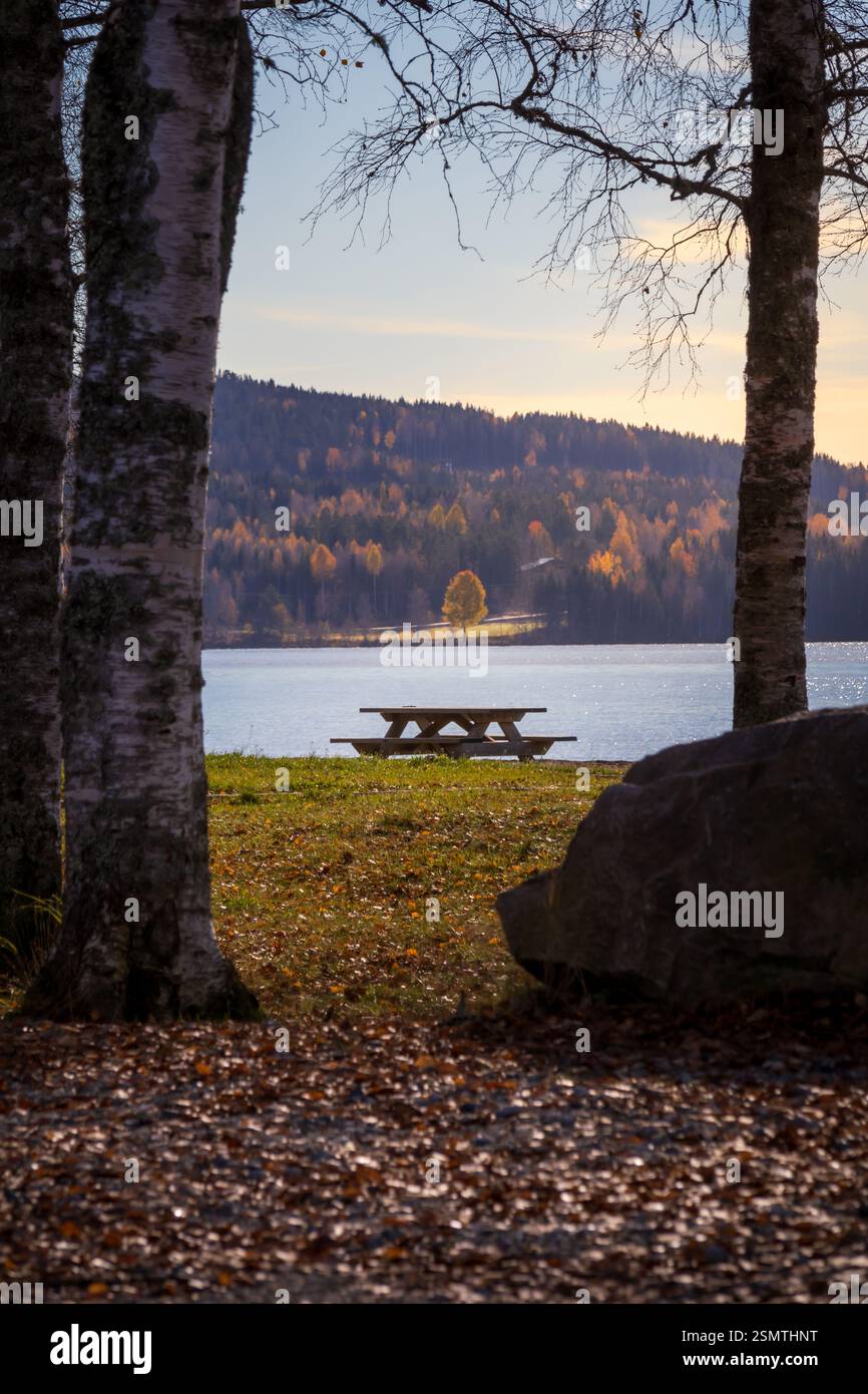 Laghi tranquilli di Hurdalsjøen e Skrukkelisjøen, betulle dorate e acque riflettenti. Un tranquillo rifugio autunnale dove la bellezza della natura invita alla riflessione Foto Stock
