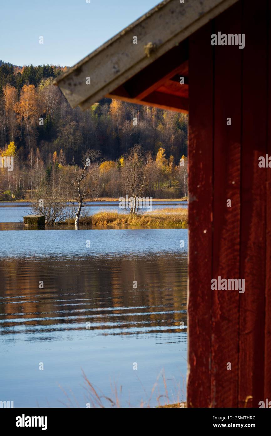Laghi tranquilli di Hurdalsjøen e Skrukkelisjøen, betulle dorate e acque riflettenti. Un tranquillo rifugio autunnale dove la bellezza della natura invita alla riflessione Foto Stock
