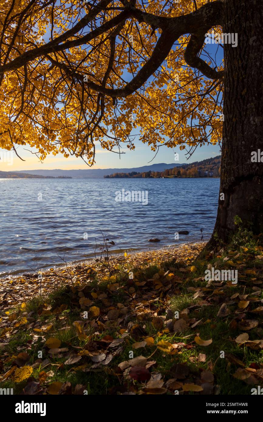Laghi tranquilli di Hurdalsjøen e Skrukkelisjøen, betulle dorate e acque riflettenti. Un tranquillo rifugio autunnale dove la bellezza della natura invita alla riflessione Foto Stock