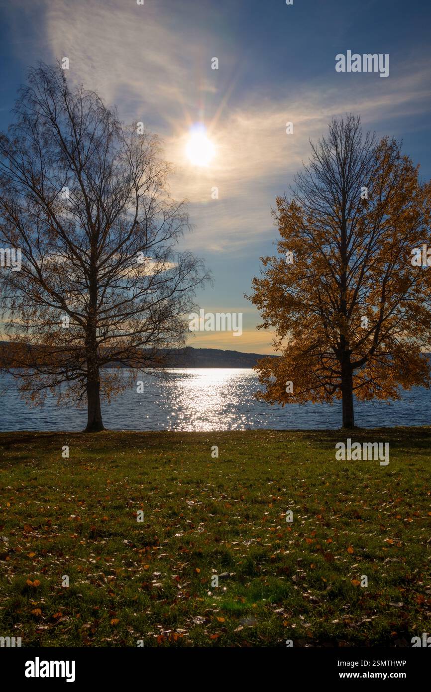 Laghi tranquilli di Hurdalsjøen e Skrukkelisjøen, betulle dorate e acque riflettenti. Un tranquillo rifugio autunnale dove la bellezza della natura invita alla riflessione Foto Stock