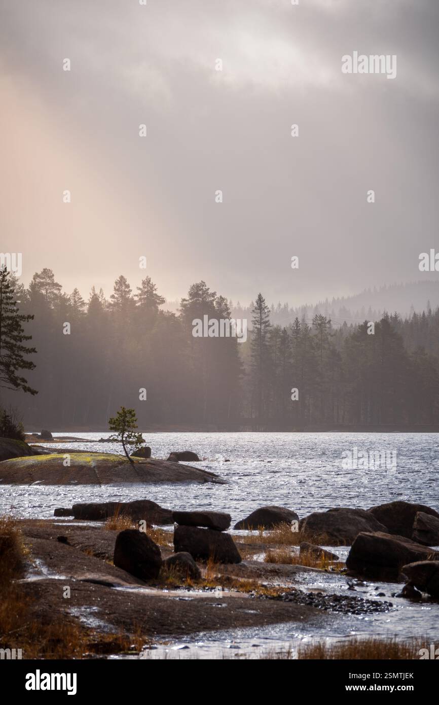 Lago Storøyungen: Acque tranquille, coste rocciose e un tempo unico di sfidare il pino. Una capanna nascosta sull'isola sussurra di solitudine e abbraccio della natura Foto Stock