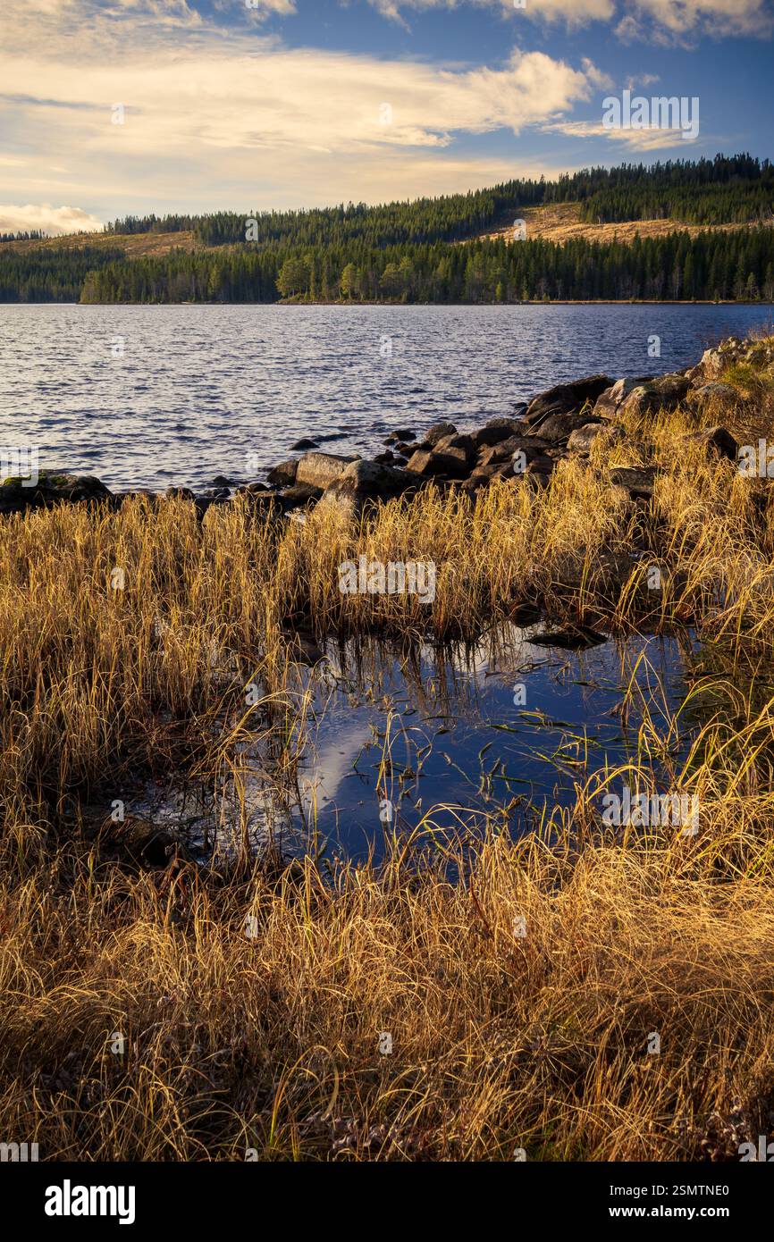 Hersjoen è un luogo di meraviglia Foto Stock