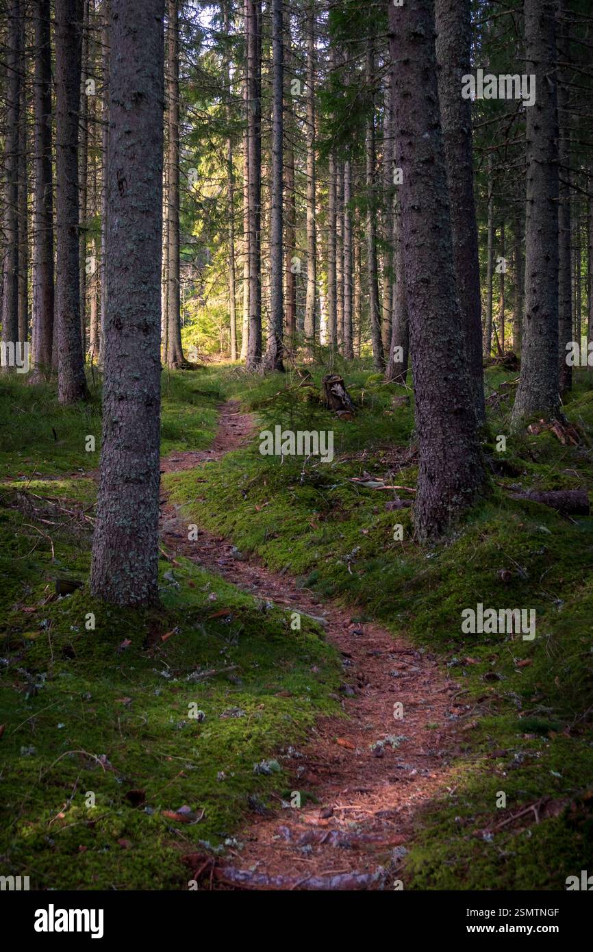 Pietra antica, fiume che scorre e riflessi tranquilli: Steinbrua si erge forte con il passare del tempo. Un luogo in cui fermarsi, guardare in alto e abbracciare il viaggio Foto Stock
