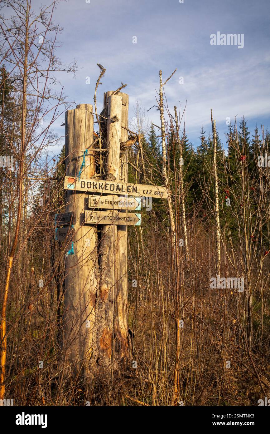 Pietra antica, fiume che scorre e riflessi tranquilli: Steinbrua si erge forte con il passare del tempo. Un luogo in cui fermarsi, guardare in alto e abbracciare il viaggio Foto Stock