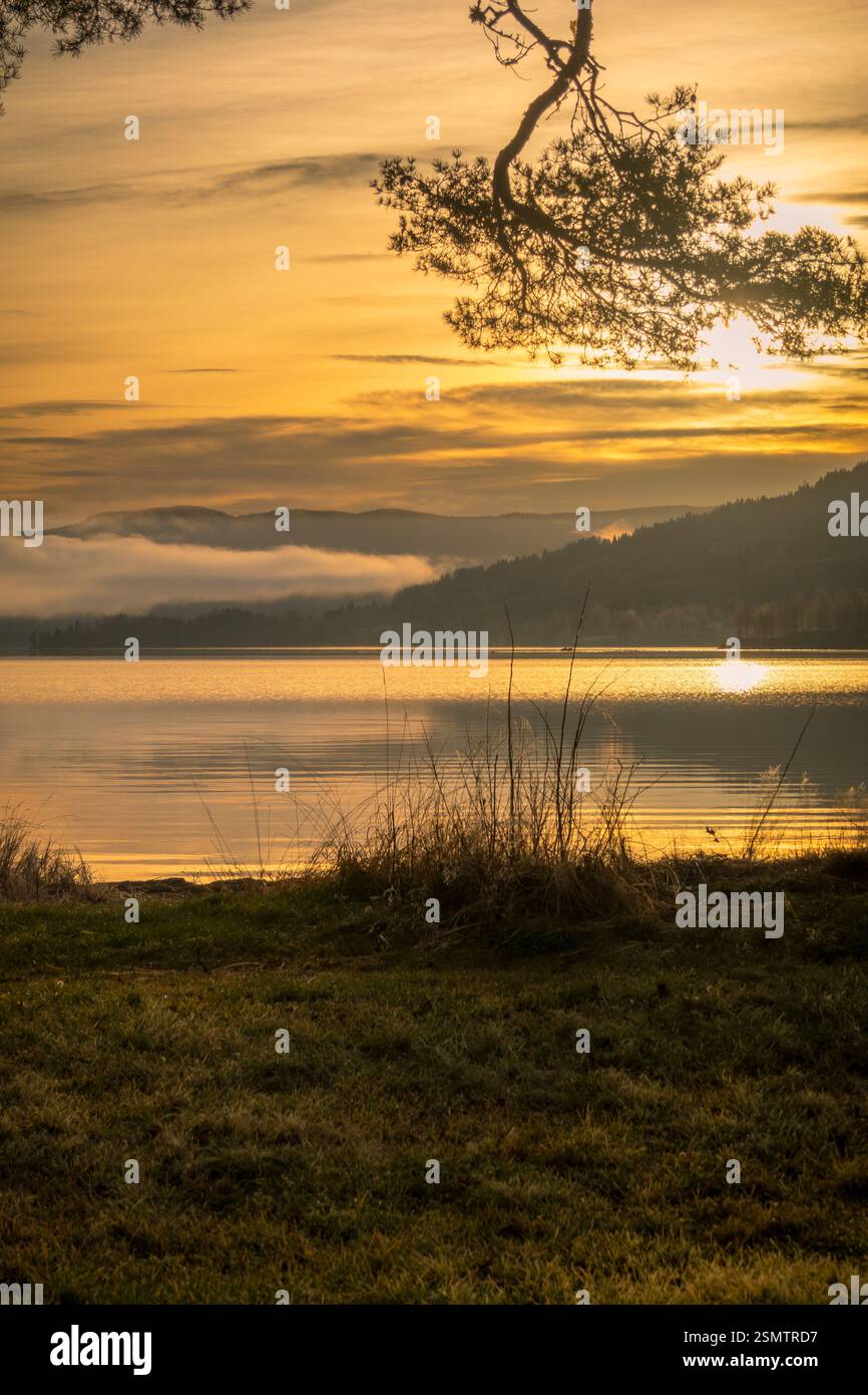 Hurdalsjøen alla fine dell'autunno: Un'estremità si è persa nella nebbia, l'altra è illuminata dalla luce dorata. Un momento in cui la natura rispecchia i suoi contrasti, calma e sempre Foto Stock