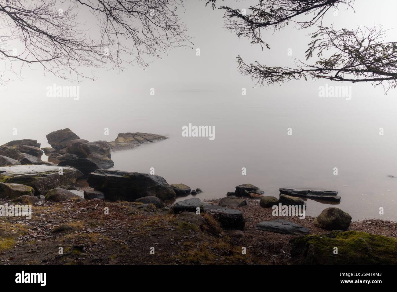 Hurdalsjøen alla fine dell'autunno: Un'estremità si è persa nella nebbia, l'altra è illuminata dalla luce dorata. Un momento in cui la natura rispecchia i suoi contrasti, calma e sempre Foto Stock